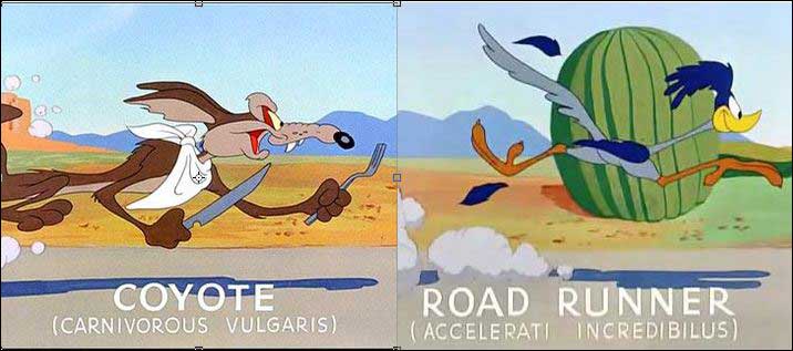 Wile E. Coyote and the Road Runner graphic